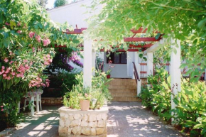 Apartments Lovor